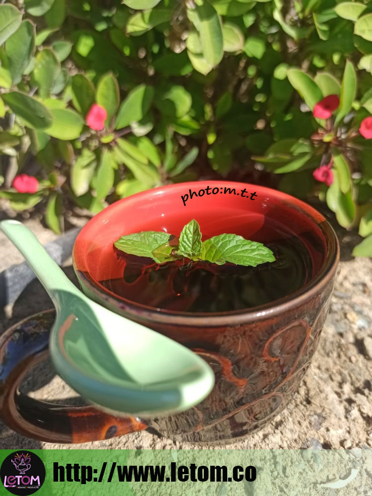 Cup of mint tea in nature