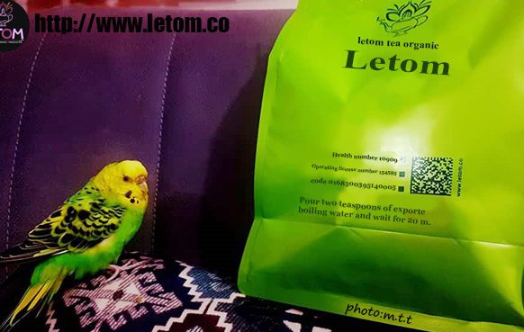 Photo of Letom tea bag next to a bird