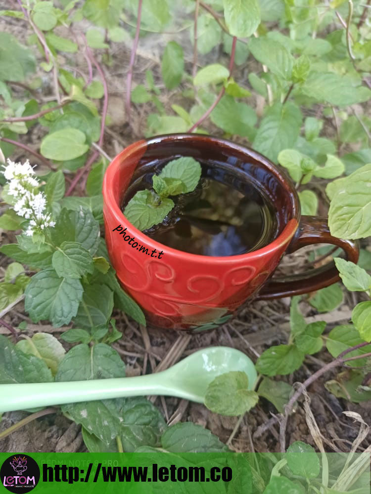 Natural mint tea