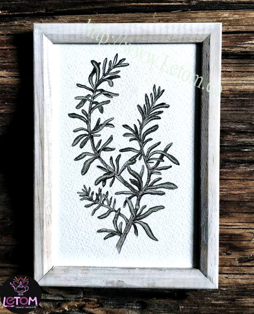 A picture of a rosemary painting