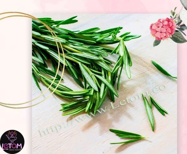 The best fresh and dried organic Iranian rosemary