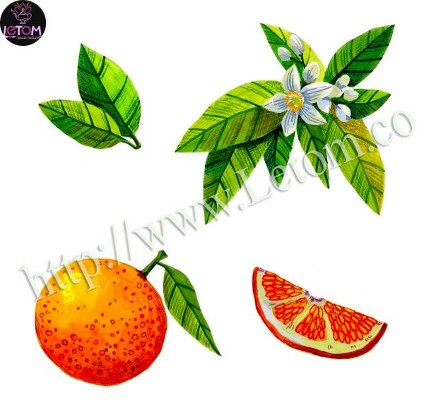 Natural herbal teas_Organic orange peel