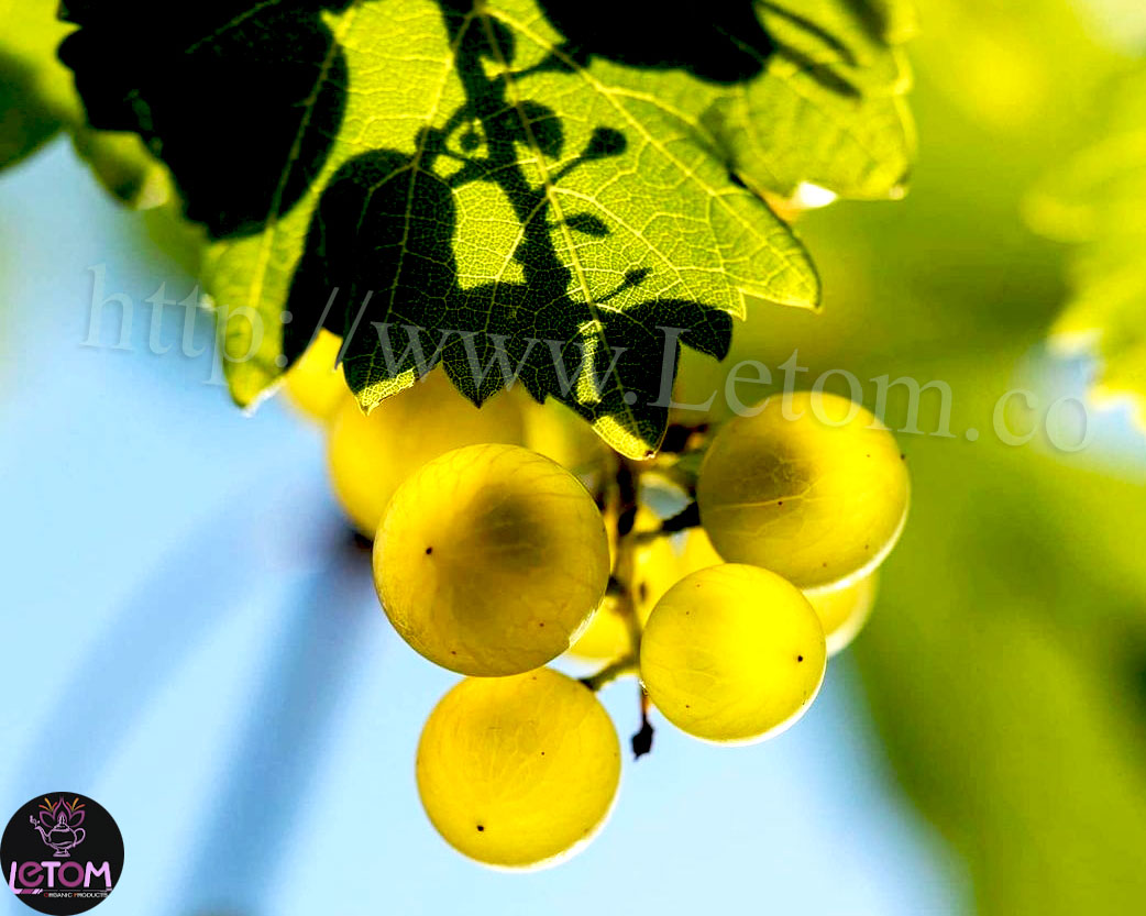 Natural Iranian grapes