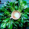 The healthiest organic spinach with coffee