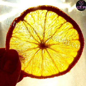 A ring of organic dried oranges