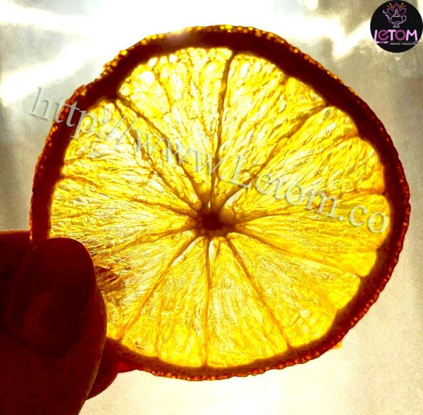 A ring of organic dried oranges