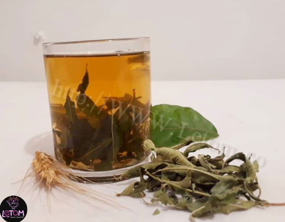 The best Lemon verbena herbal tea for natural fat burning