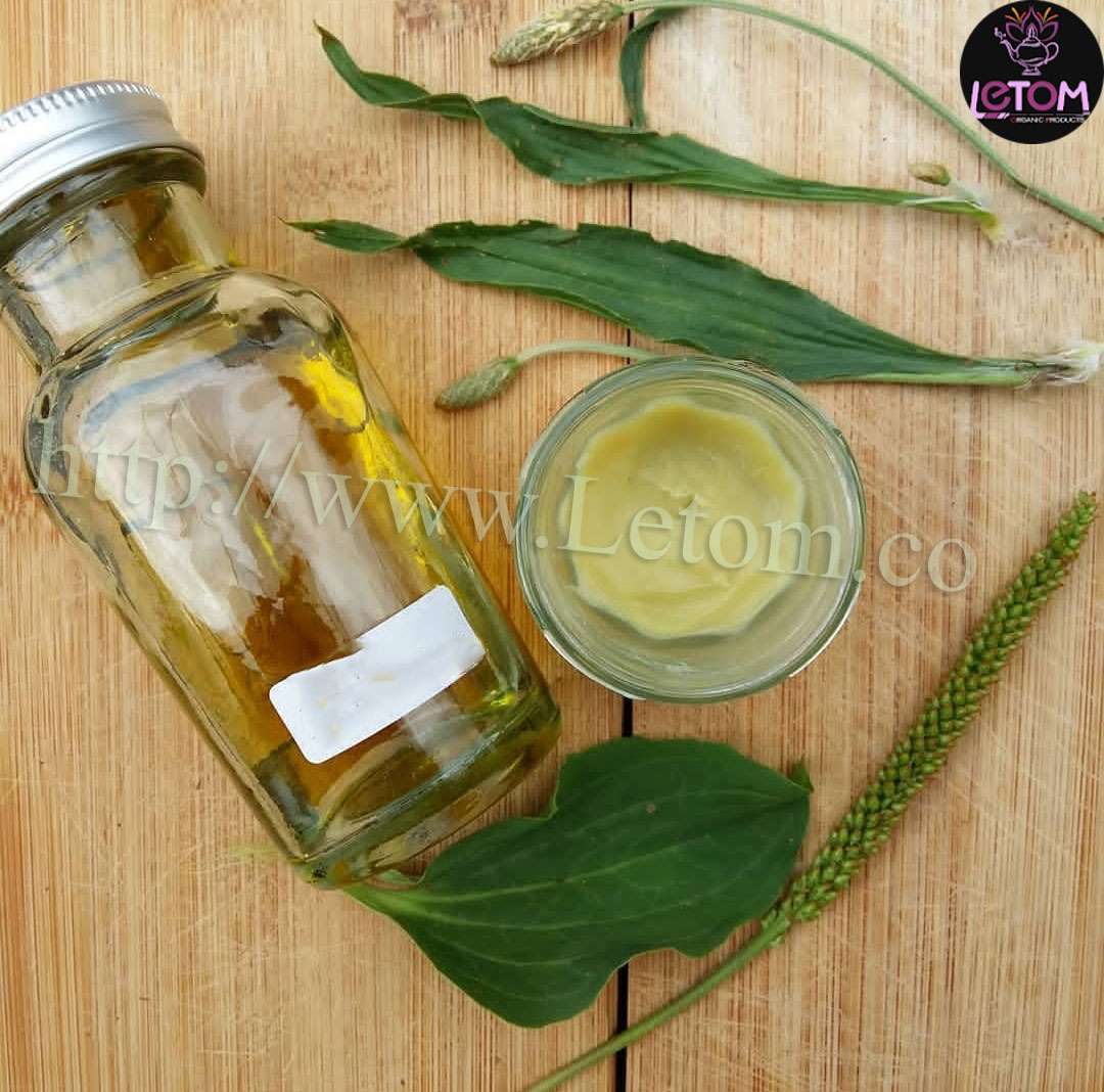 Plantago seed oil for the skin