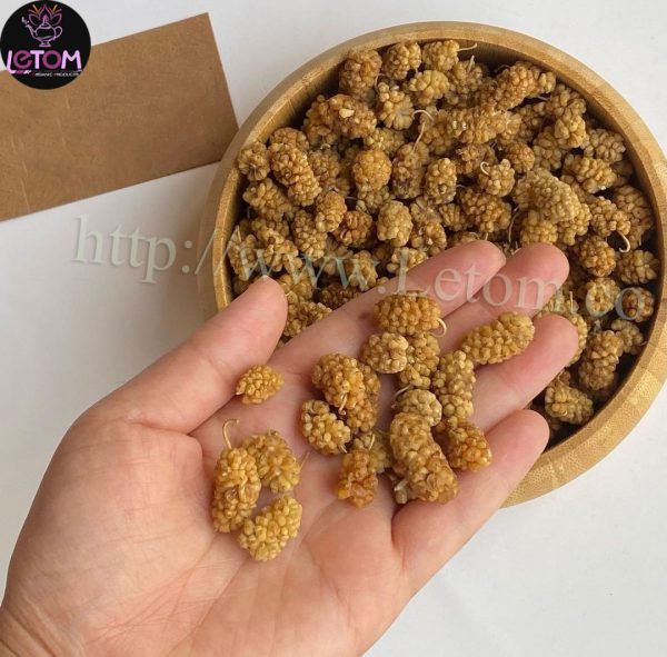 Natural dried berries in a bowl and in wholesale hands