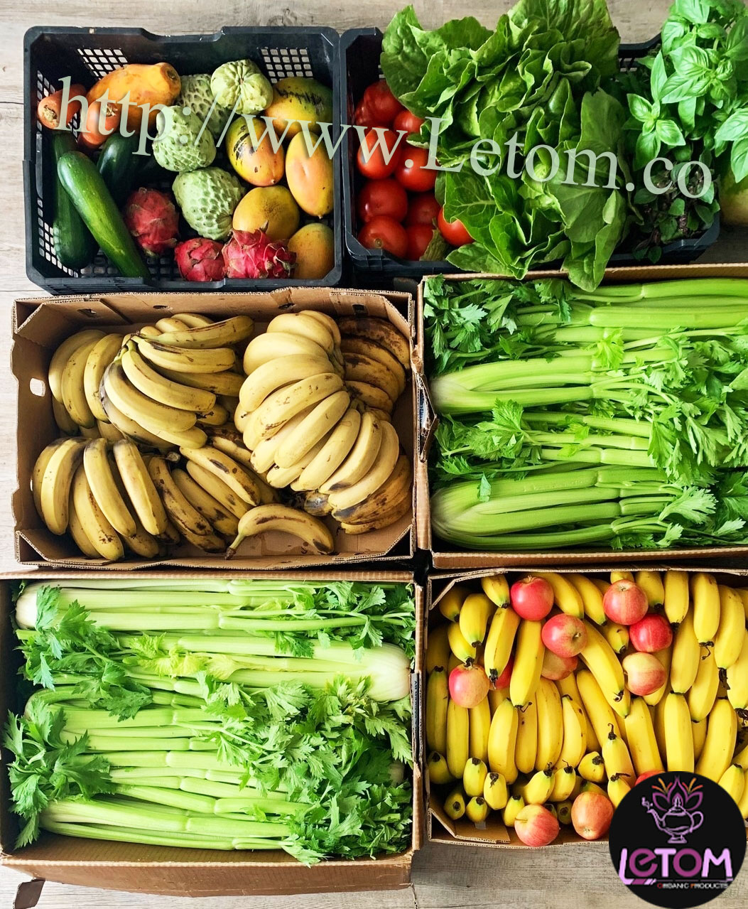 Pictures of fruits and vegetables in the article Carbohydrates for weight loss