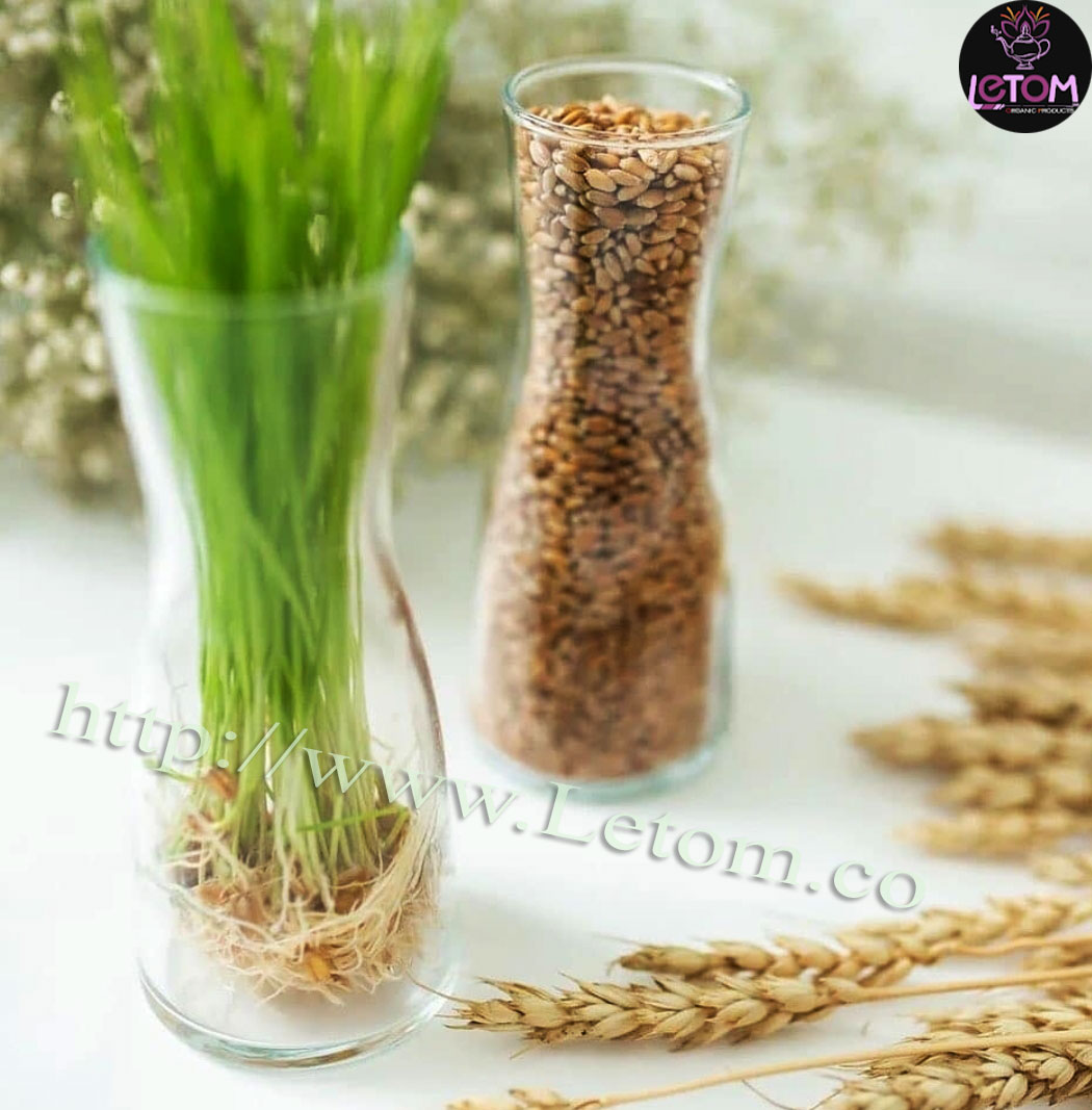 A picture of jars containing wheat