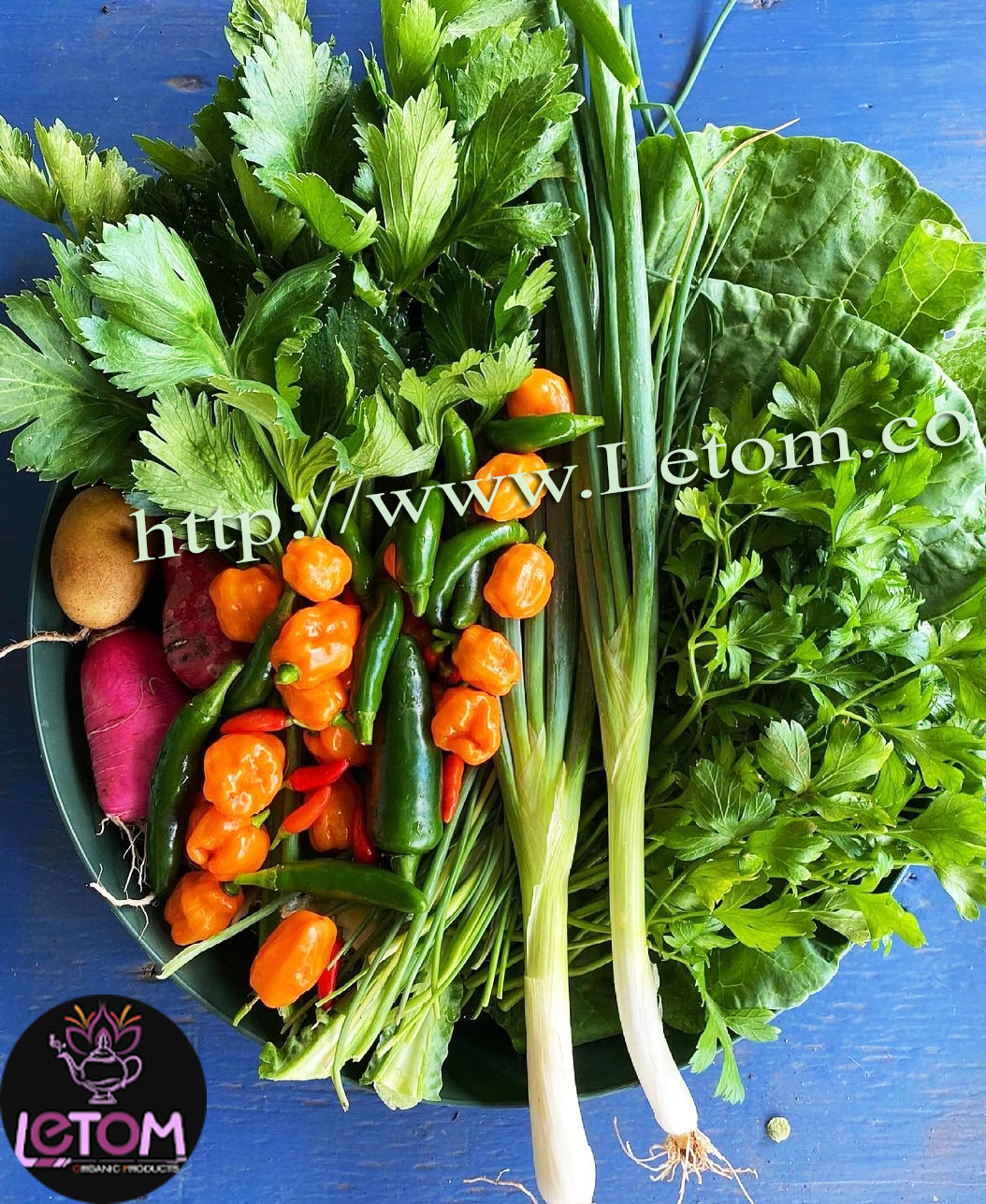 A photo of fresh vegetables with celery, one of the strongest fat burners
